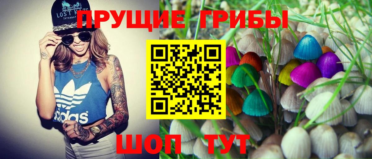 Галлюциногенные грибы мухоморы  Псилоцибиновые грибы Psilocybe  Сызрань  Вход с VPN 