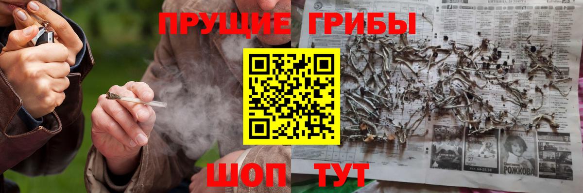 Галлюциногенные грибы GOLDEN TEACHER Сызрань